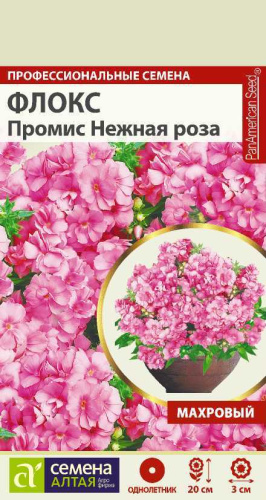 Флокс Промис Нежная роза махровый 5шт Одн 20см (Сем Алт)