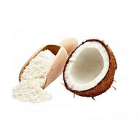 Сухое кокосовое молоко 85%, 0,2кг фас. Шри-Ланка Econutrena