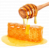 Мёд, конфеты,сахар, соль и специи от природы